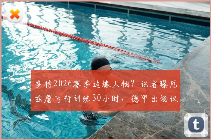 多特2026赛季边缘人物？记者曝厄兹詹飞行训练30小时，德甲出场仅32分钟引深思